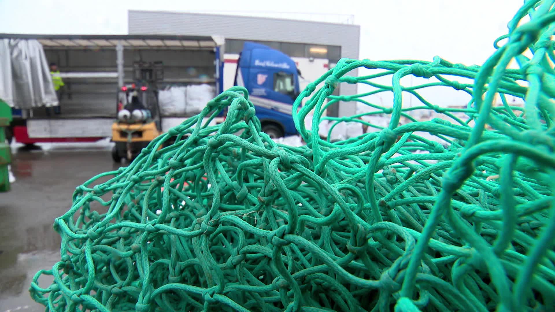 Les bateaux de pêche à quai sur le port du Guilvinec