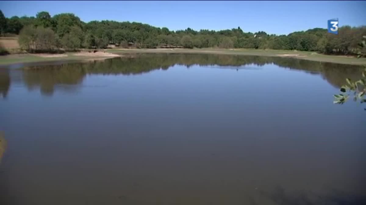 La vidange partielle du lac d'Uzurat a permis de faire descendre le niveau de l'eau d'environ 2 mètres. Les plantes invasives sont disparu.