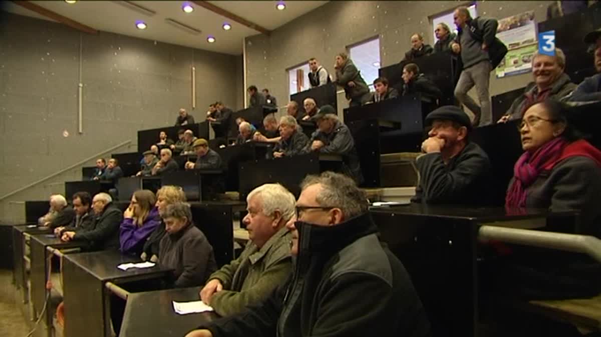 Jean Auclair fait campagne jusque dans la salle des enchère du marché au cadran d'Ussel.