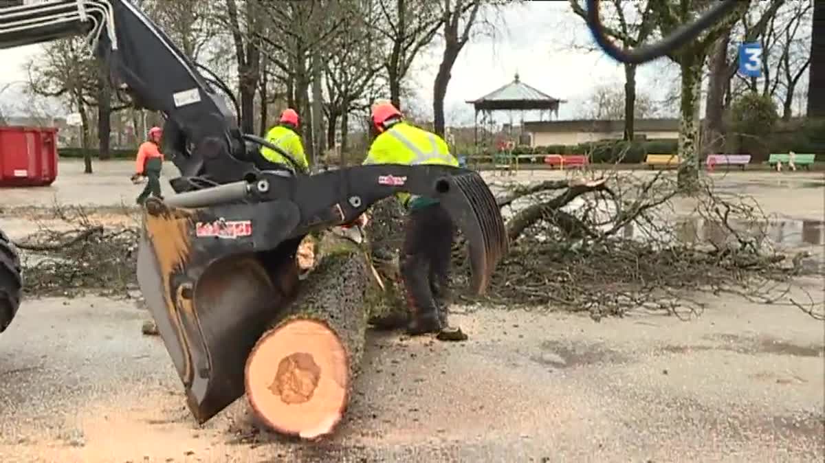 Six arbres ont été abattus ce lundi 6 mars dans la matinée, avant la suspension du chantier pour cause de tempête.