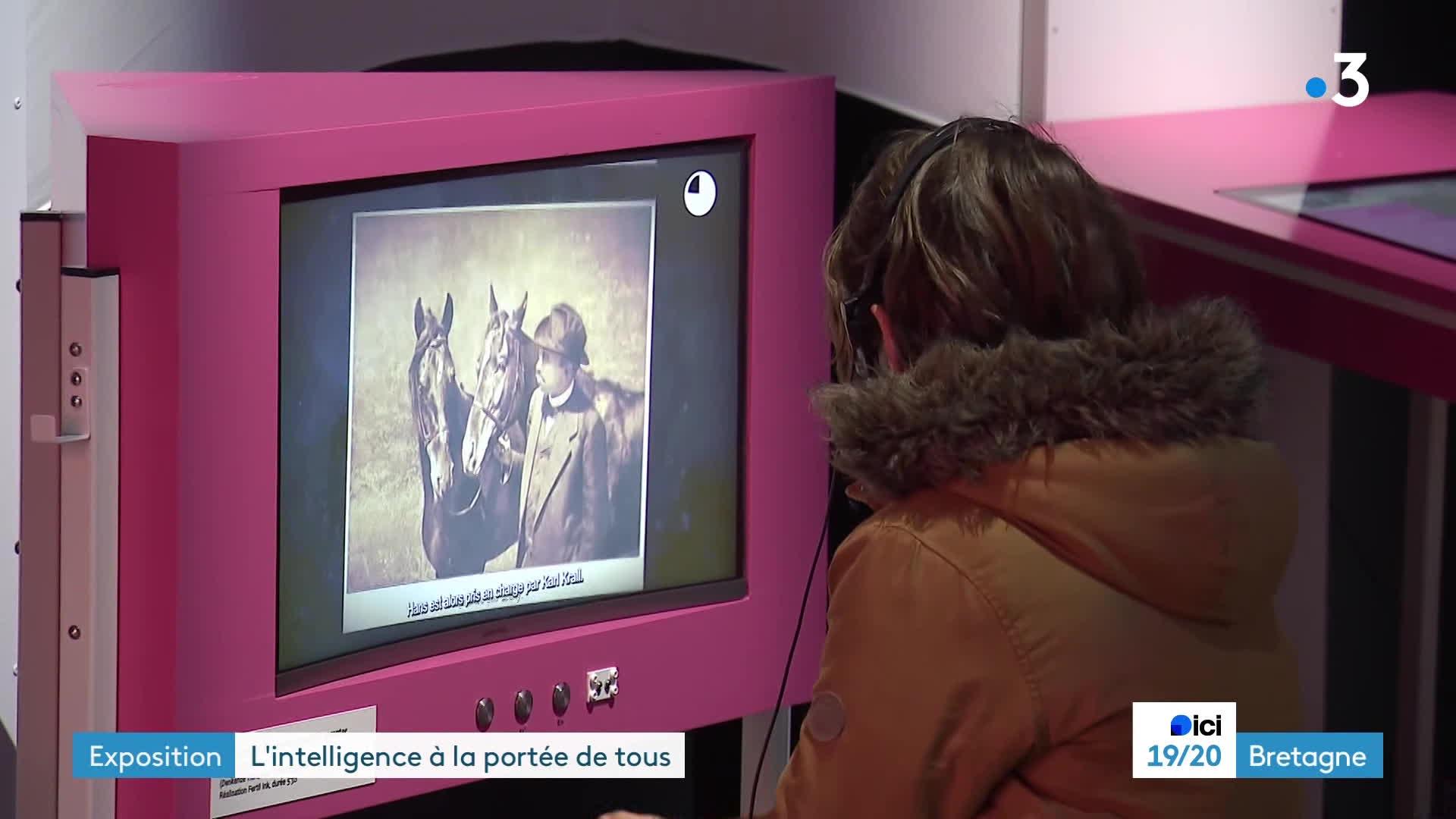 L'exposition Intelligences, différentes par nature à Rennes