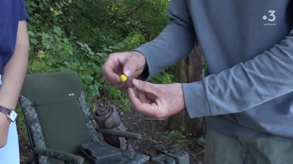 VIDEO. On a testé pour vous : aller à la pêche avec un guide et sortir de l'eau une carpe de 13 kilos !