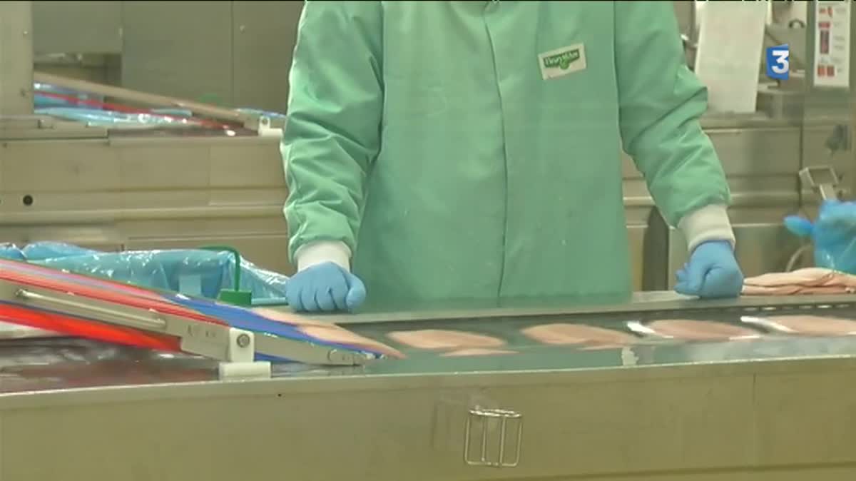 Vend e Objectif Emballage 100 Recyclable Pour Fleury Michon vend-e-objectif-emballage-100-recyclable-pour-fleury-michon