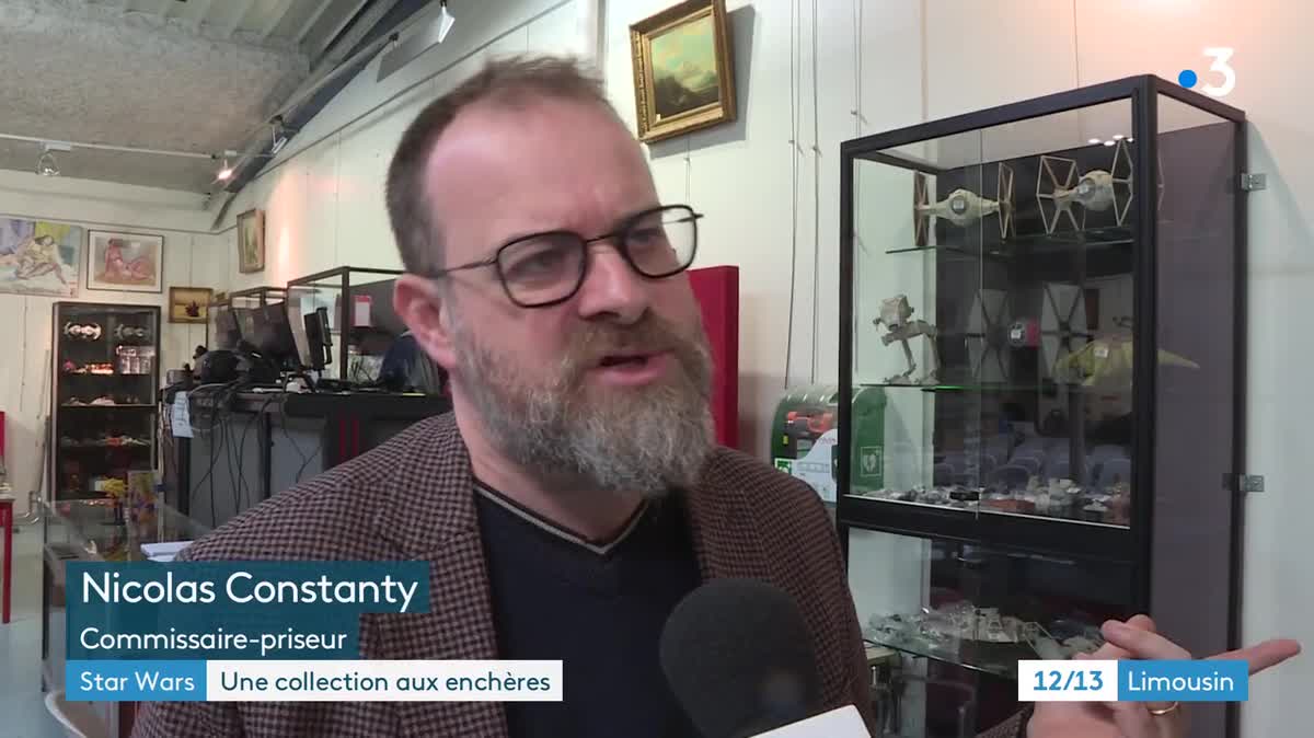 VIDEO. Limoges : une collection d'objets Star Wars vendue aux enchères