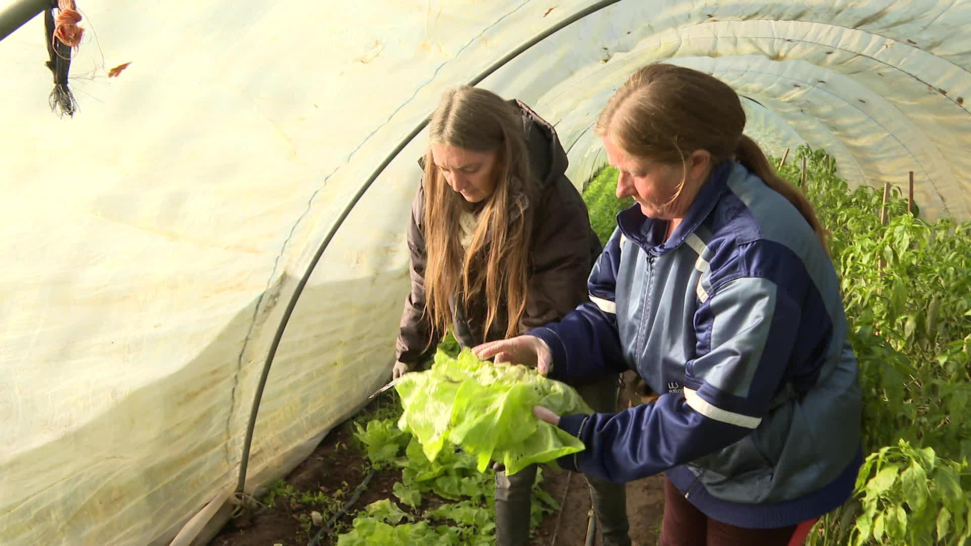 À Mont-de-Marsan, ce jardin produit 15 tonnes de fruits et légumes par an, à destination des restos du Cœur.