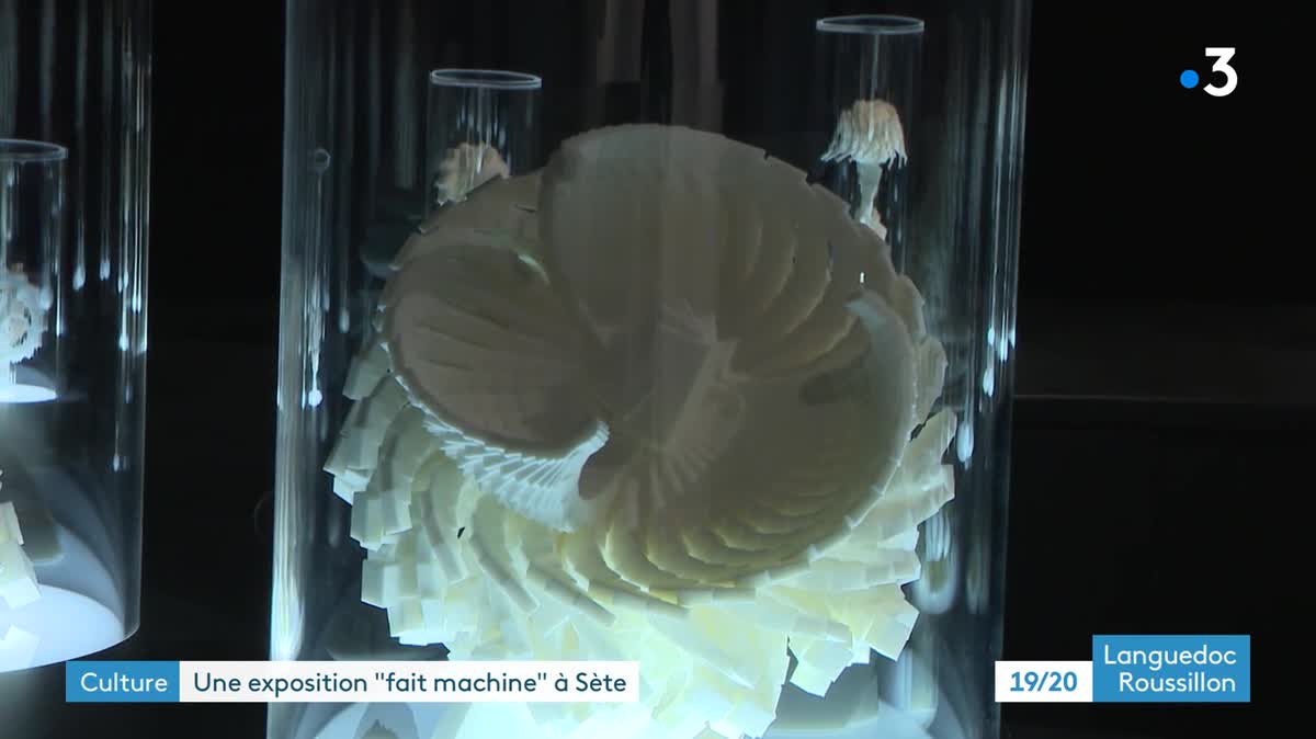 Des œuvres réalisées par des imprimantes 3D présentées à Sète