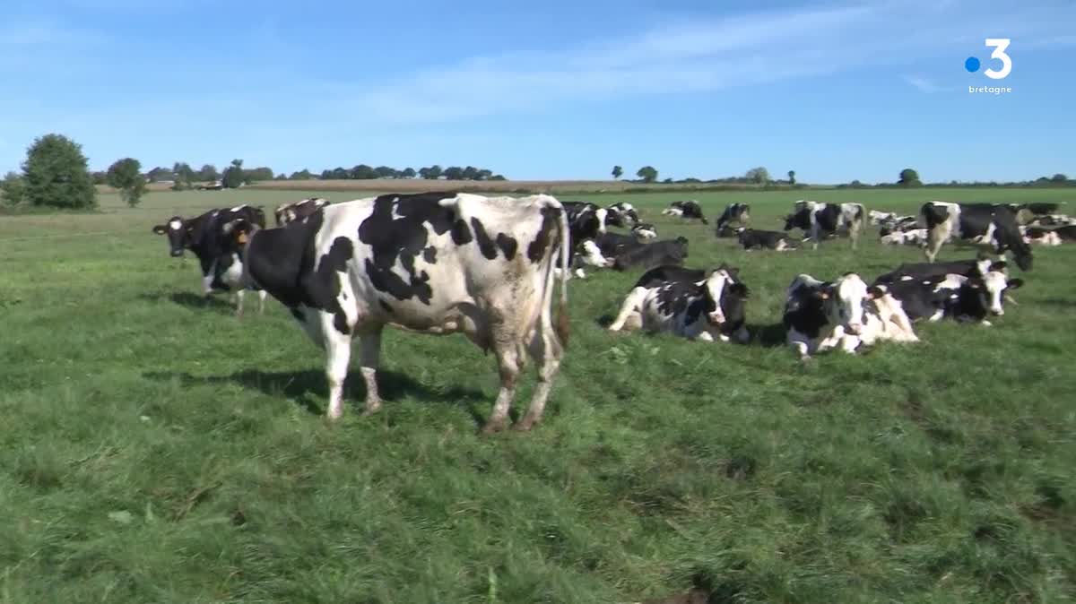 Crise énergétique, sécheresse, prix du lait, dérèglement climatique... Pour les agriculteurs, les motifs d'inquiétude sont nombreux