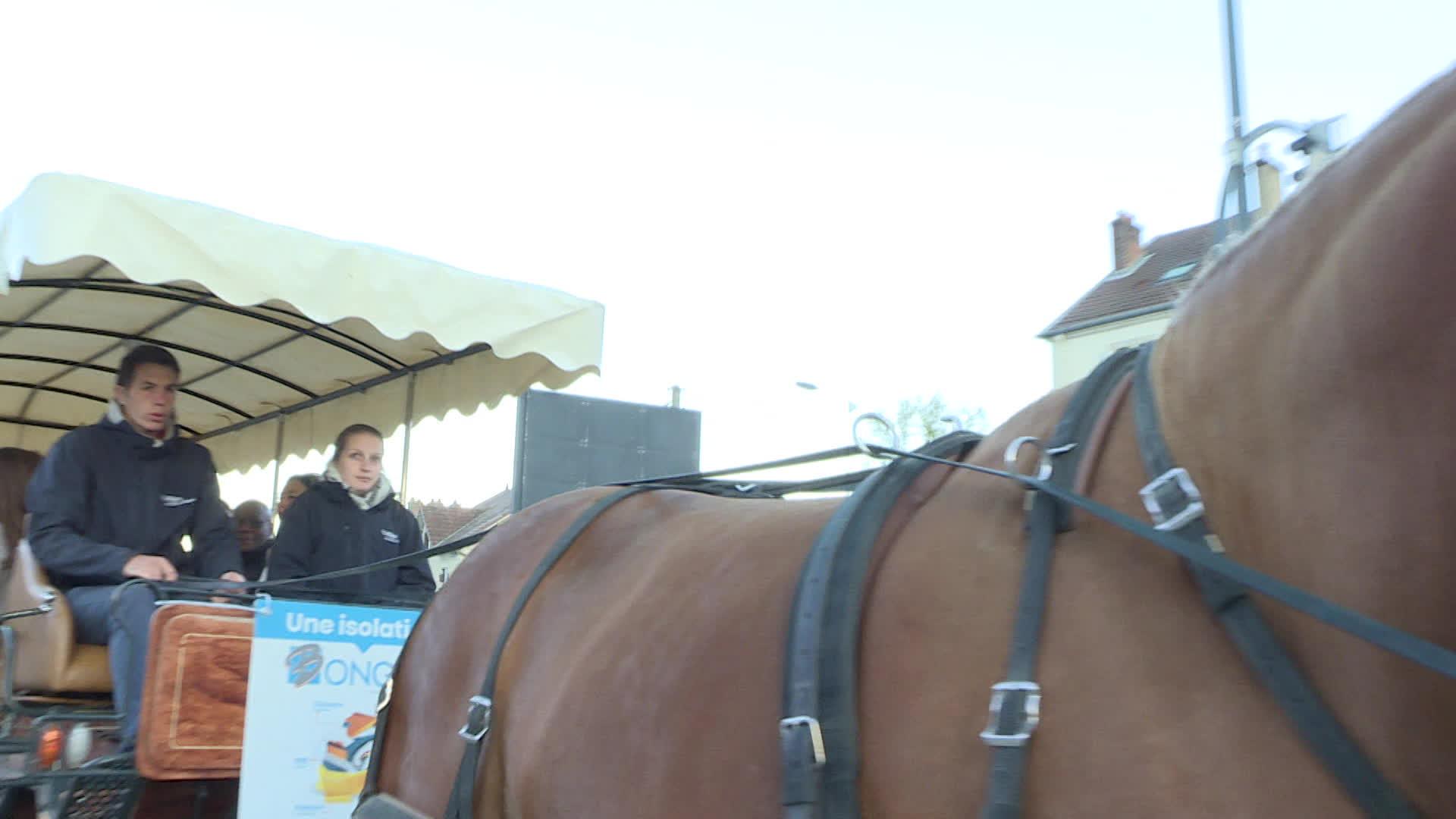 Ces salariés partent le temps d'une journée au travail en calèche tirée par des chevaux de trait comtois.