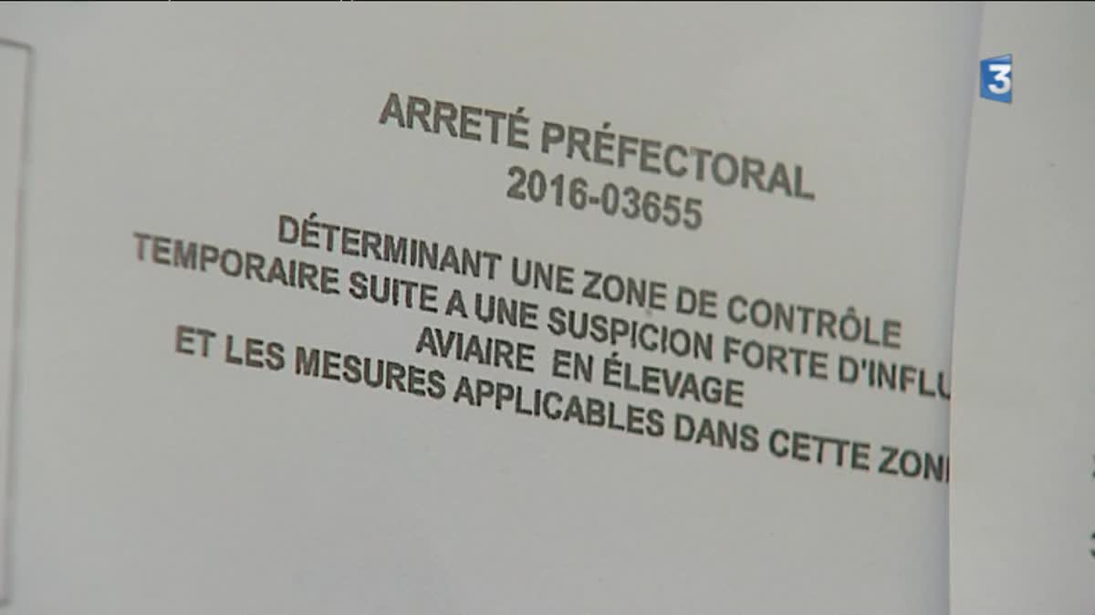 Les bâtiments de l'élevage de dindons où un cas de grippe aviaire a été détecté.