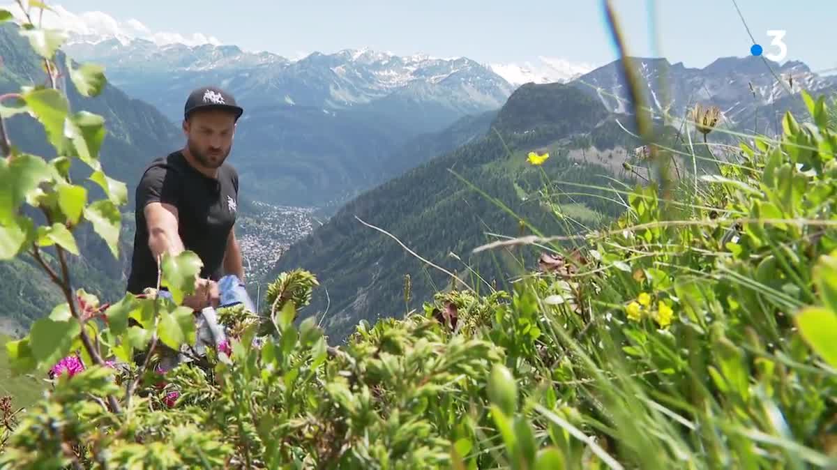 Cette œuvre monumentale située sur les hauteurs de Courmayeur, en Italie, a été réalisée par l'artiste Saype.