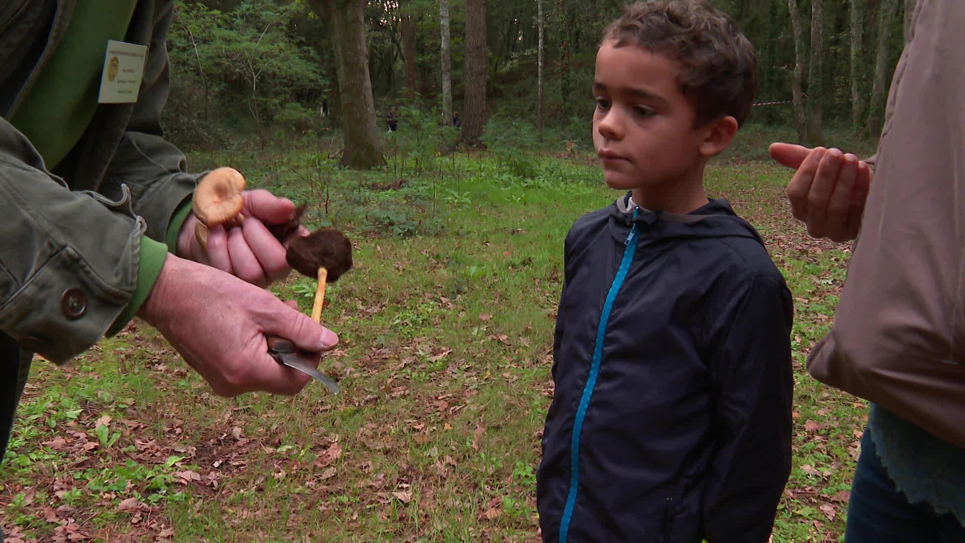 La saison des champignons bat son plein mais le risque d'intoxication aussi. Une association a organisé une sortie à Saint-Brévin-les-Pins afin d'informer les passionnés des risques de la cueillette.