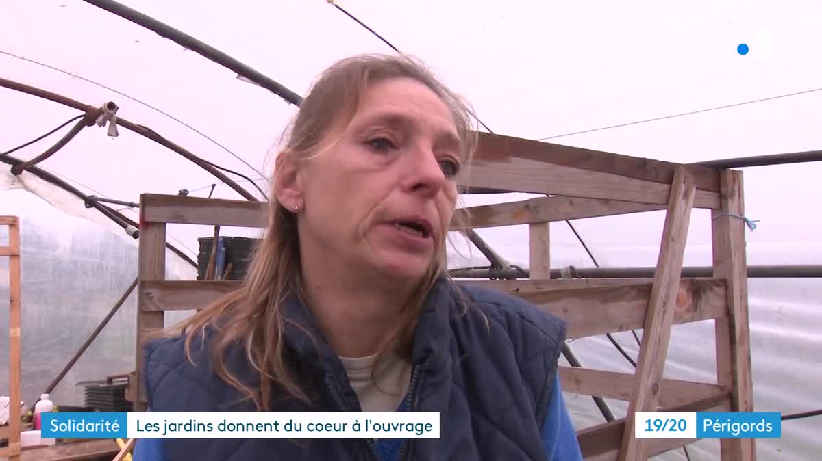 Les Jardins du Cœur servent à la fois ce chantier d'insertion et de fournisseurs de légumes aux 9 Restaurants du Cœur de Dordogne