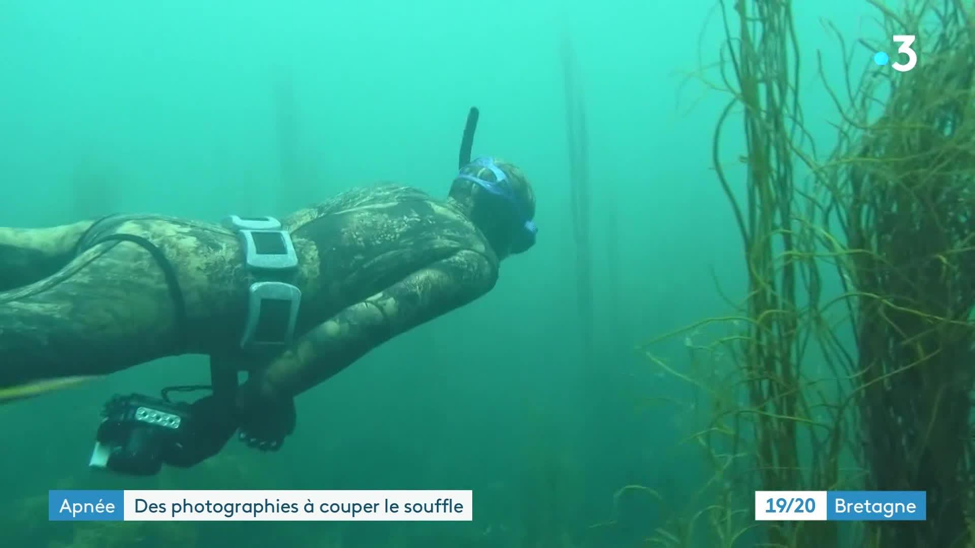 Concours photos sous-marines en apnée