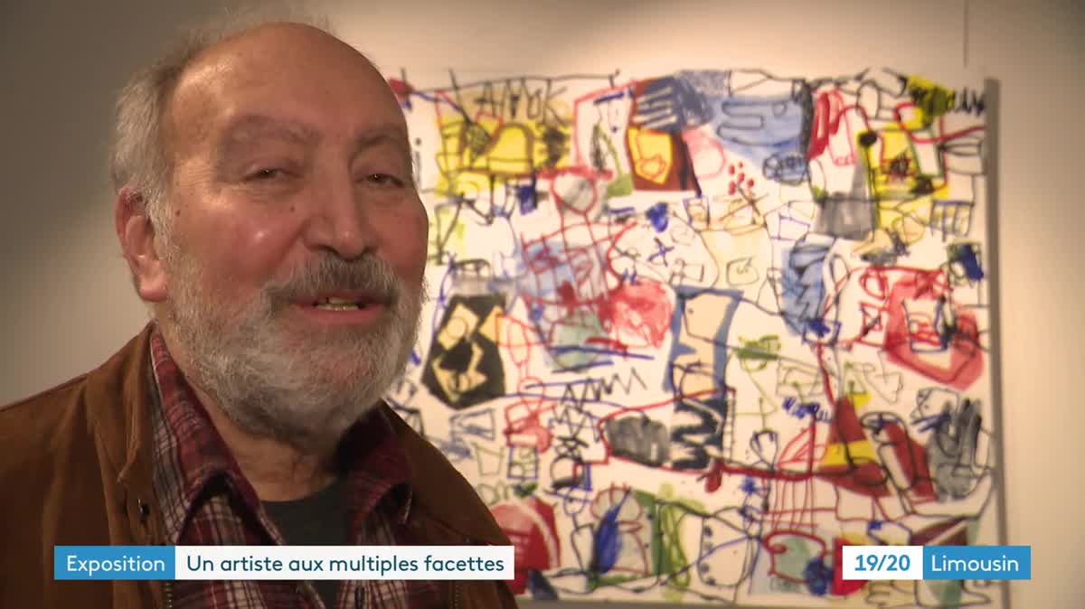 Expo Jan Voss à Limoges