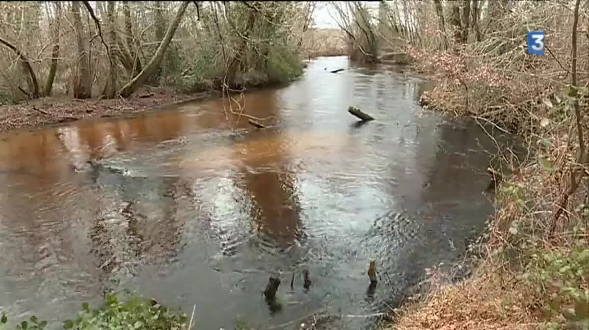 La pêche à la truite ouvre le deuxième samedi du mois de mars