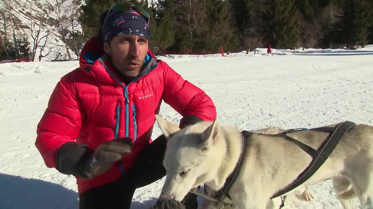 Romain Da Fonseca et ses chiens ont retrouvé leur camp d'hiver à Barèges dans les Pyrénées.