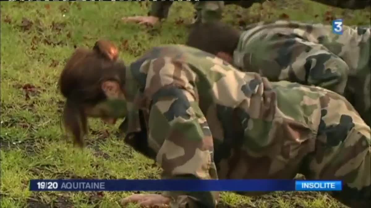 Deuxième jour de stage pour ces chefs d'entreprises à la BA 118 de Mont-de-Marsan après une nuit de marche. 