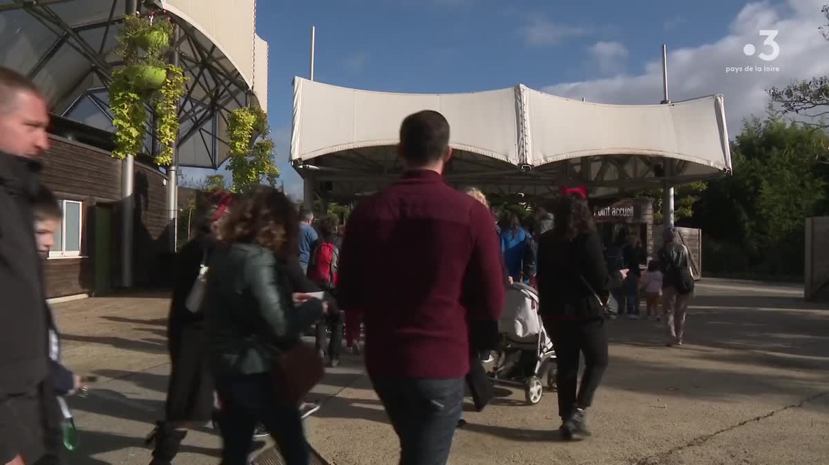 En 2022, le parc Terra Botanica, près d'Angers, a battu son record en accueillant plus de 460 000 visiteurs.