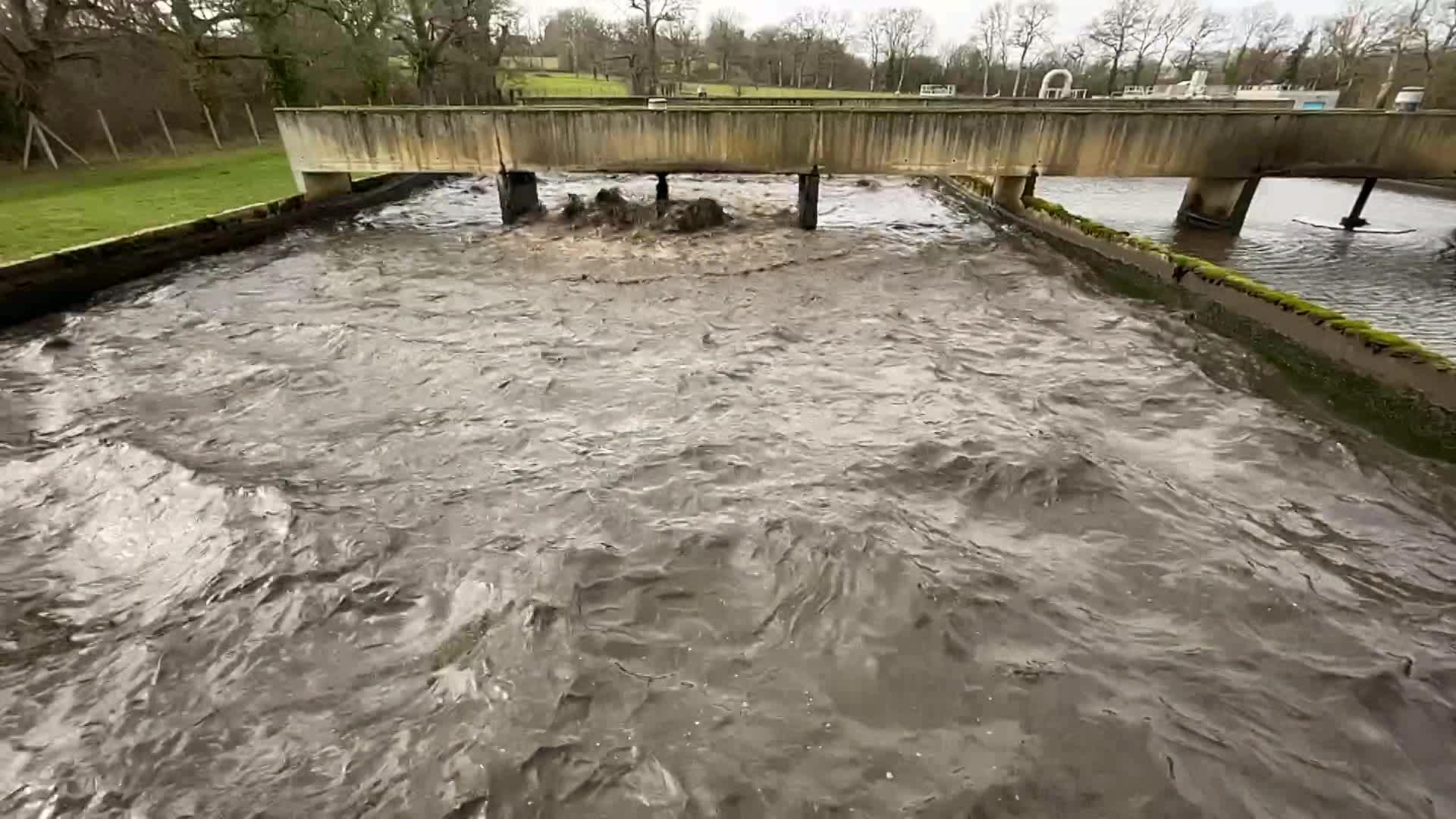 L'eau en sortie de station d'épuration contient des bactéries, des virus... Pour être utilisable, ces microorganismes doivent être détruits.