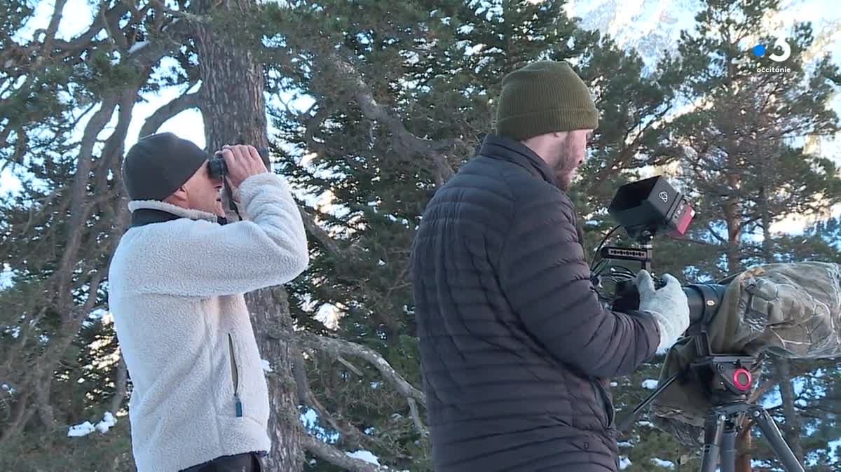 Jean-François Marsalle et son fils Lucas passent leur temps libre à photographier et filmer la nature.