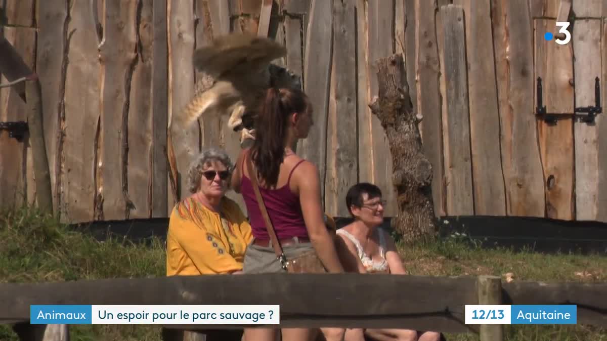 La seconde mission du Parc sauvage est l'élevage et la conservation des espèces animales. Ici, Alexandre Duguet nourrit des bébés chouettes effraies.