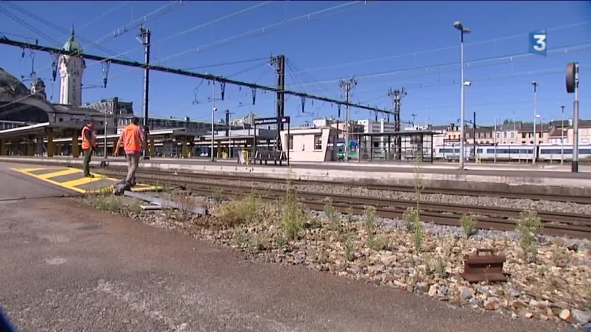 Ça chauffe sur les rails, mais les agents de la SNCF, thermomètre à la main, veillent au grain. 