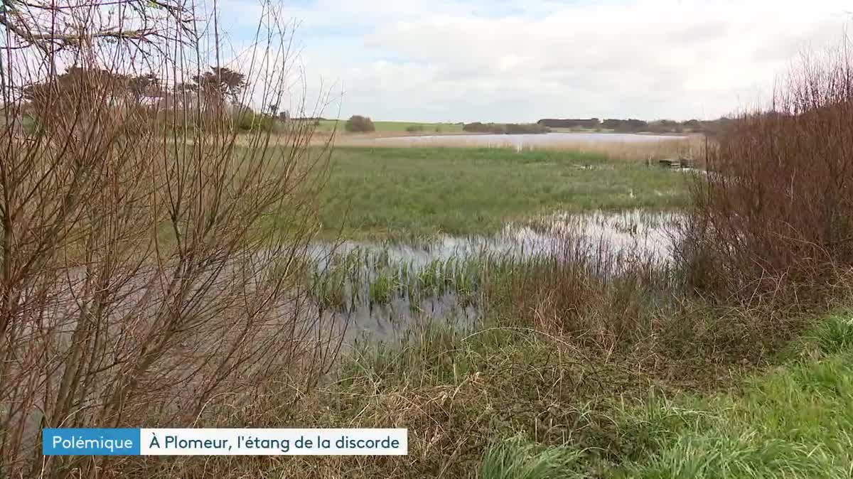 Ce dimanche 24 mars 2024, à Plomeur dans le Finistère, une trentaine de militants écologistes ont déroulé des banderoles hostiles aux horticulteurs de l'EARL Kaandor. En ligne de mire le pompage illégal dans un étang situé près d'une zone humide protégée