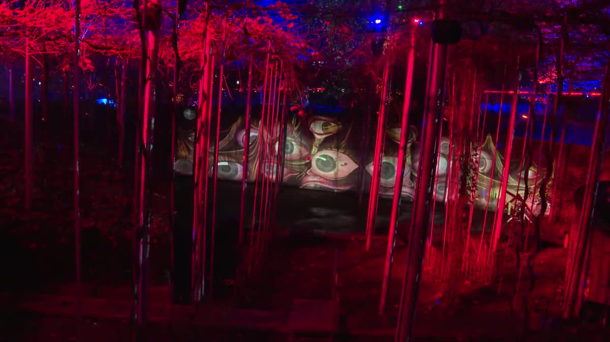 Le célèbre artiste espagnol prend ses quartiers au parc de la Villette (Paris 19e). Jusqu’au 21 janvier, un parcours immersif est créé pour être plongé dans son univers « l’art dans la nature ».