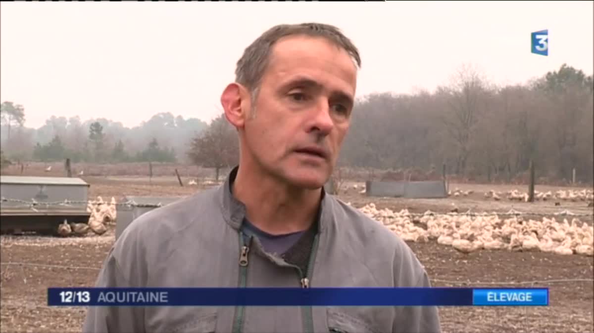 Pour Christophe Mesplède, éleveur dans les Landes, la situation est "traumatisante". 