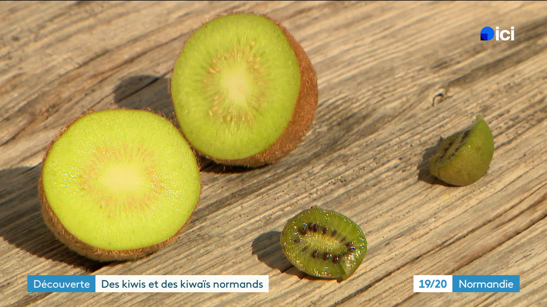 Insolite. Les kiwis, ces fruits venus d'Asie, poussent aussi bien que — free download
