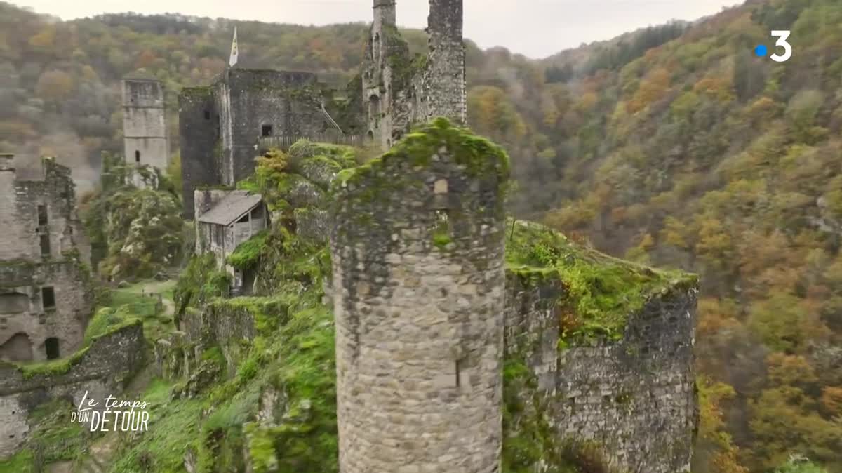 Elevage d'alpagas en Corrèze