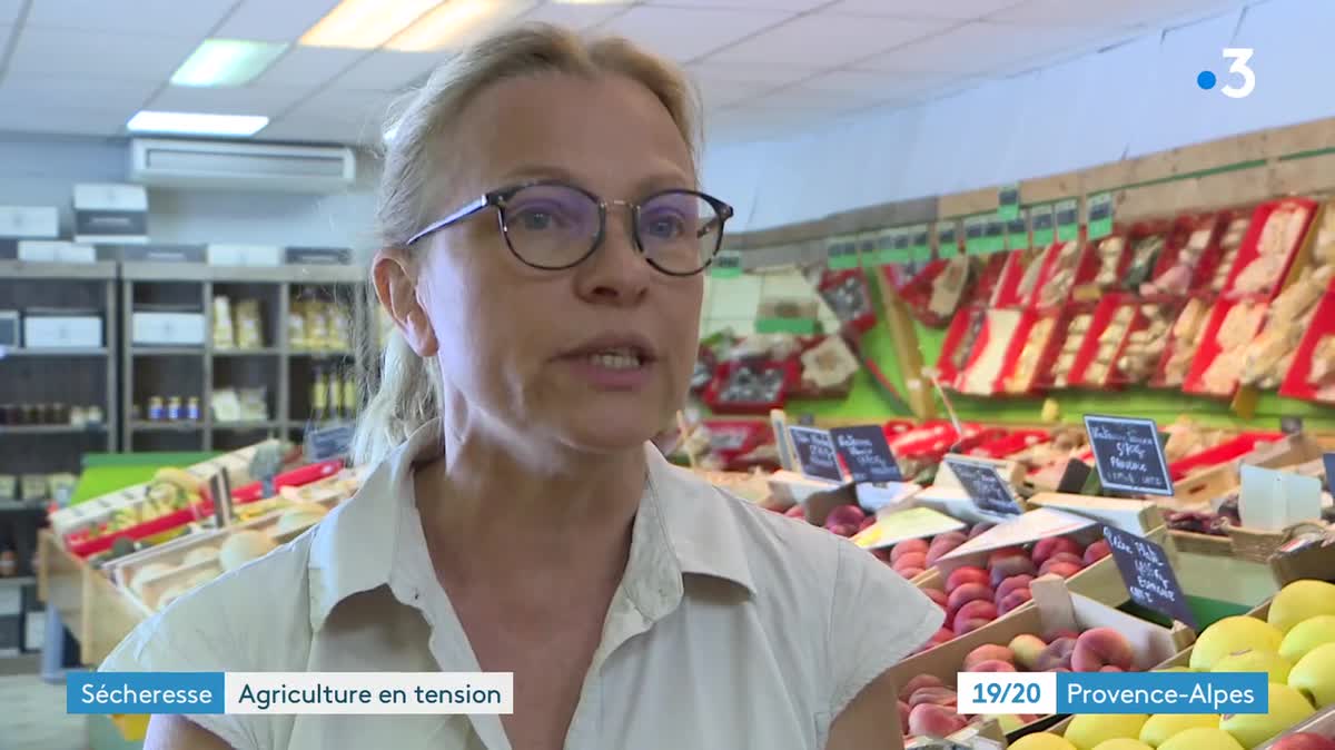 La première coupe de foin est décevante dans les Alpes-de-Haute-Provence