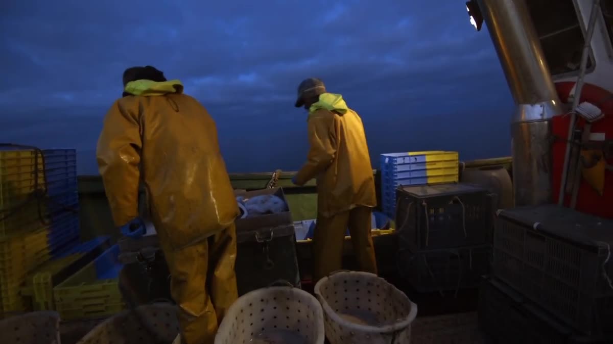 Sur les plages du Sénégal, les pirogues attentent de partir au large mais le poisson se fait de plus en plus rare