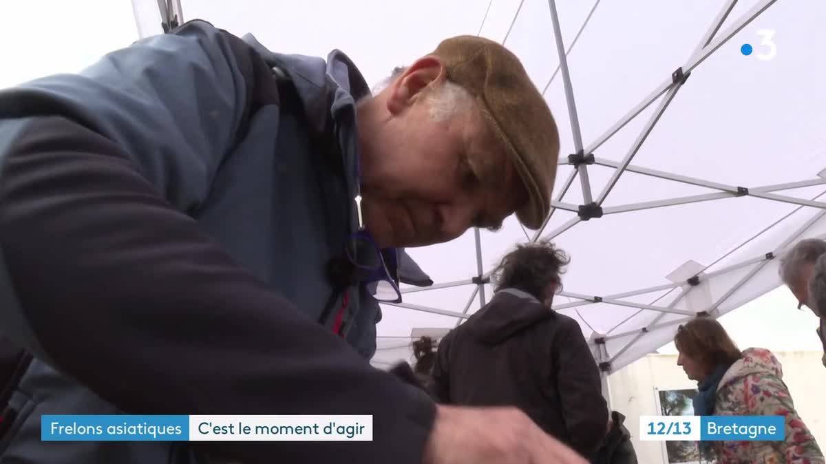 Des associations distribuent un peu partout en Bretagne des pièges sélectifs pour attraper les reines du frelon asiatique. Exemple ici d'un piège distribué à Brec'h dans le Morbihan