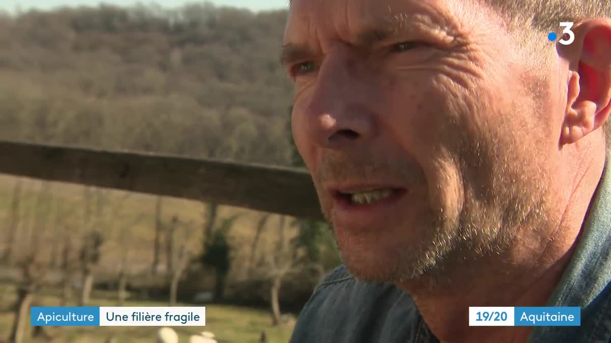 Paul Fert est apiculteur en Béarn. Un métier de plus en plus confronté aux bouleversements climatiques