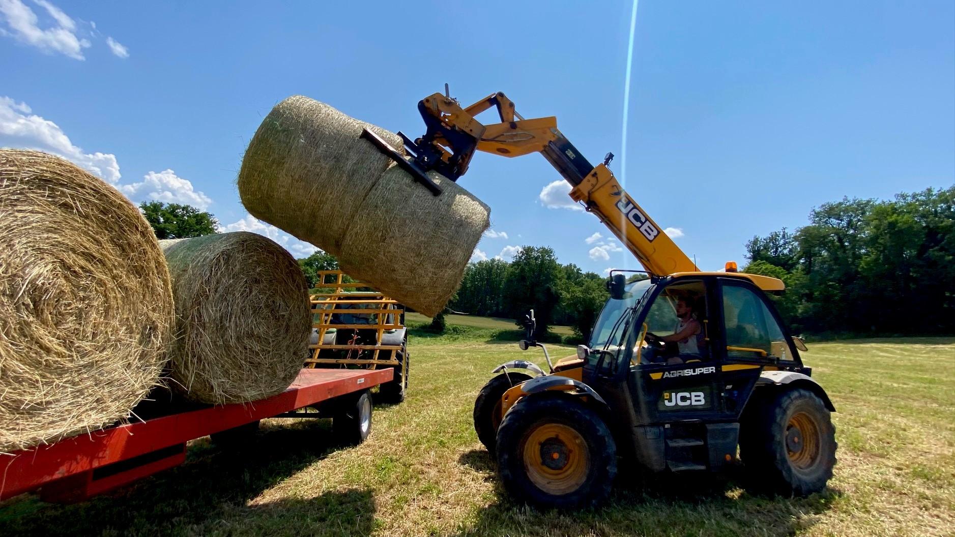 Auparavant, les foins étaient coupés en juillet. Désormais, les agriculteurs plantent des variétés d’herbe très précoces pour se prémunir de la sécheresse.