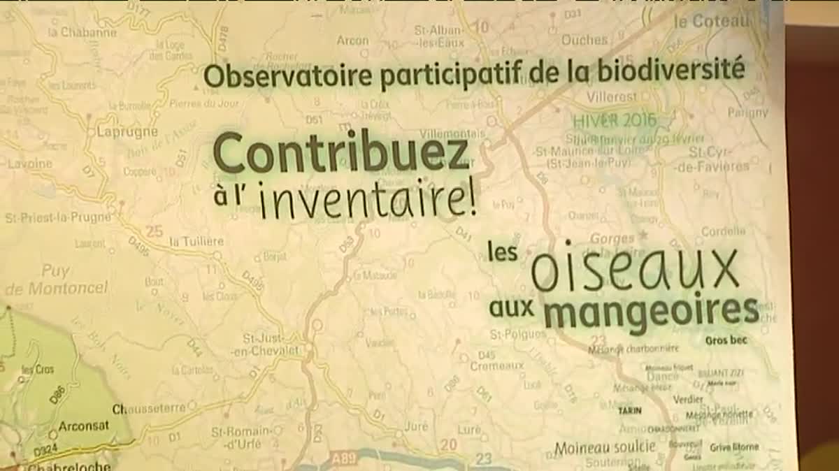 Dans le Parc du Livradois-Forez, cet hiver les oiseaux sont observés de près