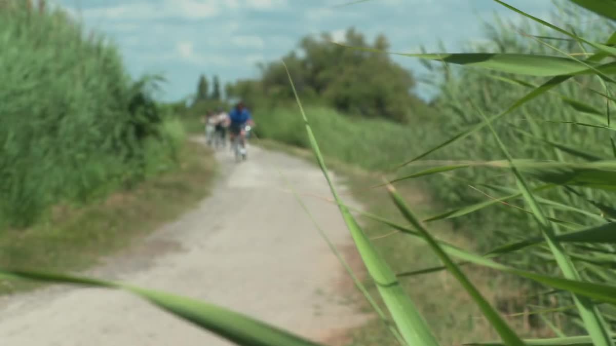 Aller à la plage à vélo mais gratuitement c’est possible. Et c’est le cas à Villeneuve-lès-Maguelone, au sud de Montpellier. 300 vélos sont en libre-service, tous les week-ends de juin puis tous les jours en juillet et en août jusqu'à la fin de l'été.