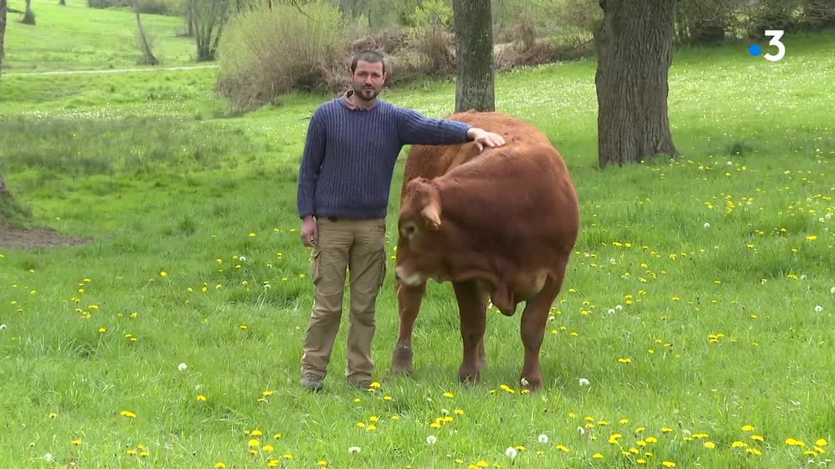 L'éleveur Anthony Tournier compte présenter son veau appelé "Tégro". 
Des professionnels de l’élevage et du monde agricole venus de toute la France se rassemblent, mais pas seulement.  De nombreux éleveurs étrangers viennent partager une passion commune. En tout, plus de 30 000 personnes sont attendues.