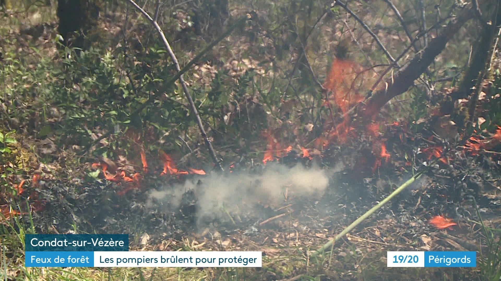 À l’aide de torches, les pompiers établissent une lisière, sur deux hectares, tout en contrôlant la progression des flammes.