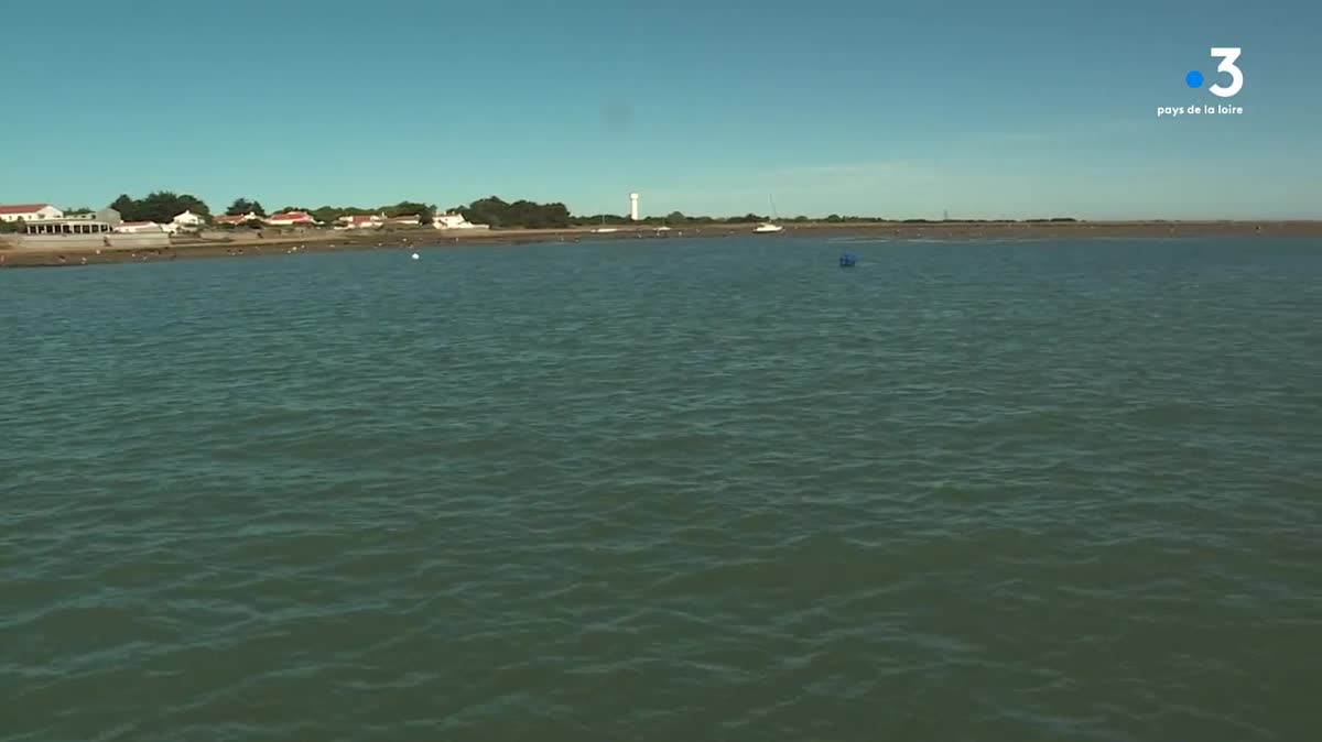 Les grandes marées au passage du Gois en Vendée