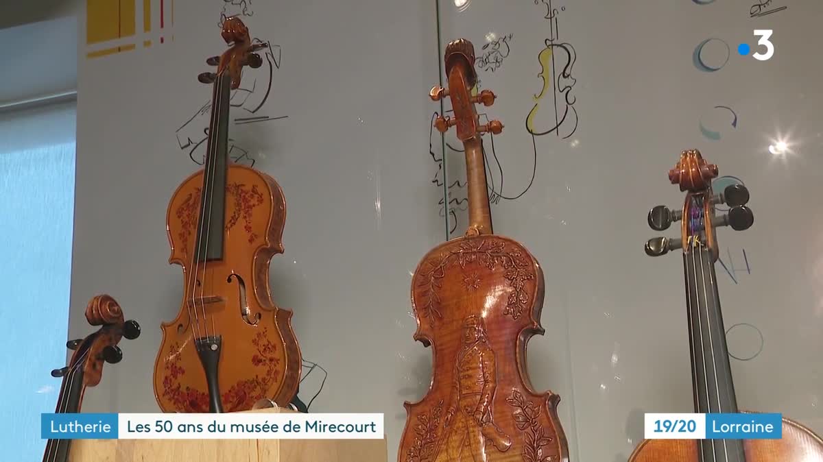 50 ans du musée Mirecourt Vosges