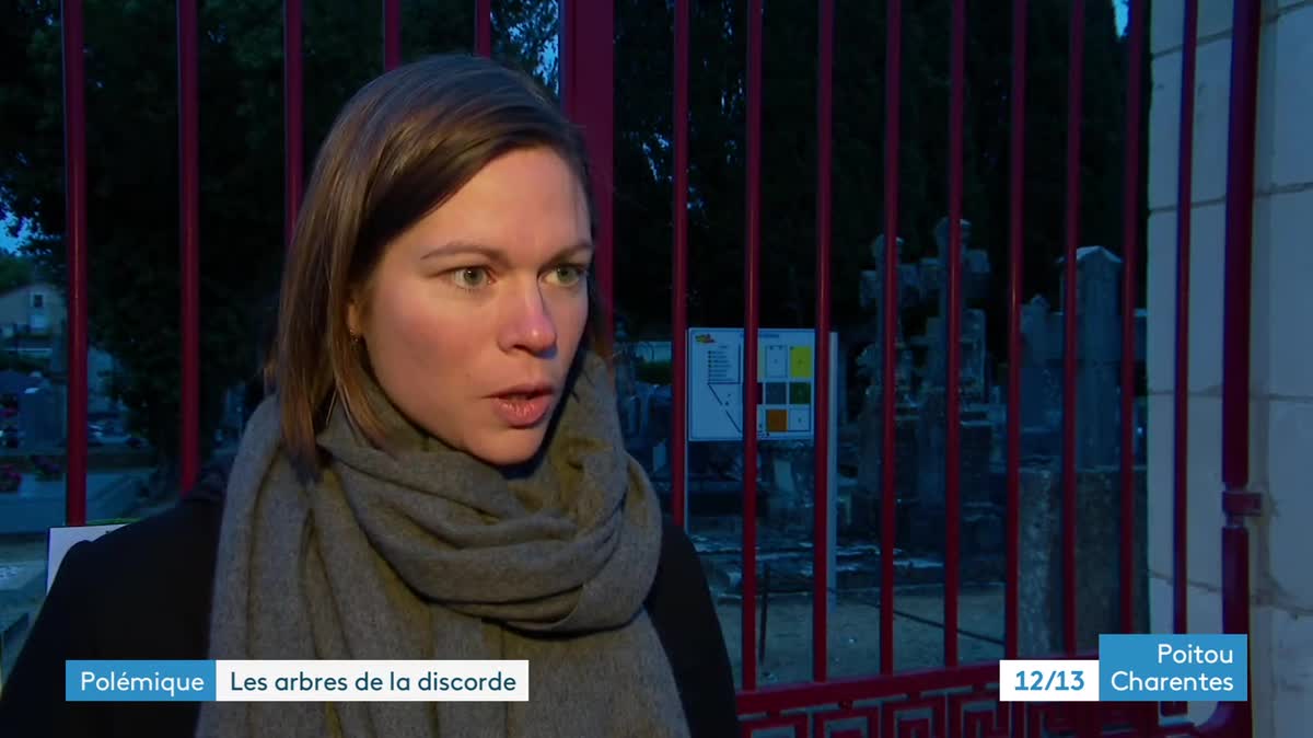 18 arbres devaient être abattus dans le cimetière de Mirebeau (Vienne).