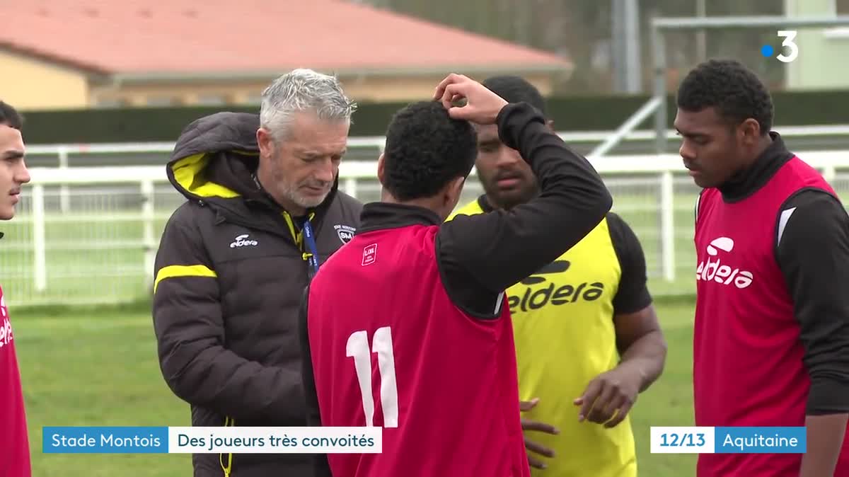 Alexandre De Nardi devrait quitter Mont-de-Marsan et porter la saison prochaine les couleurs de Montpellier en Top 14.