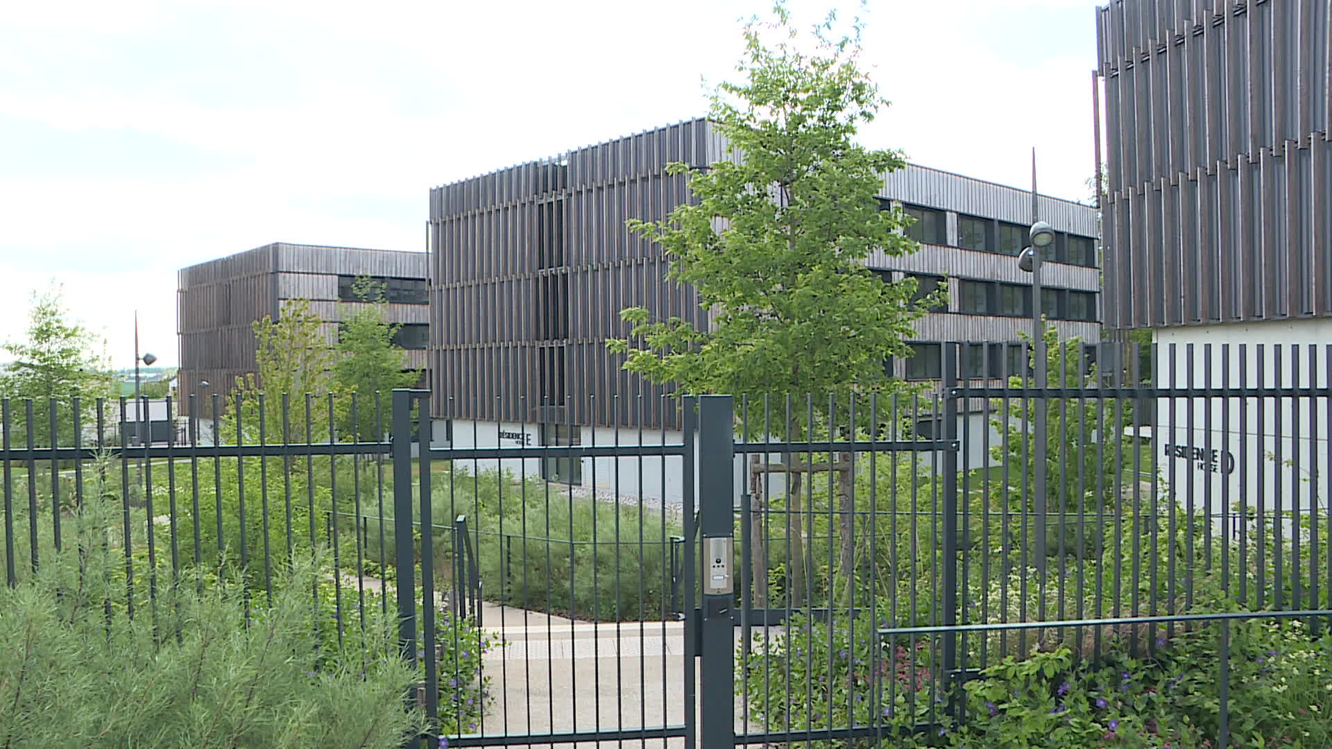 La apertura es para el próximo año