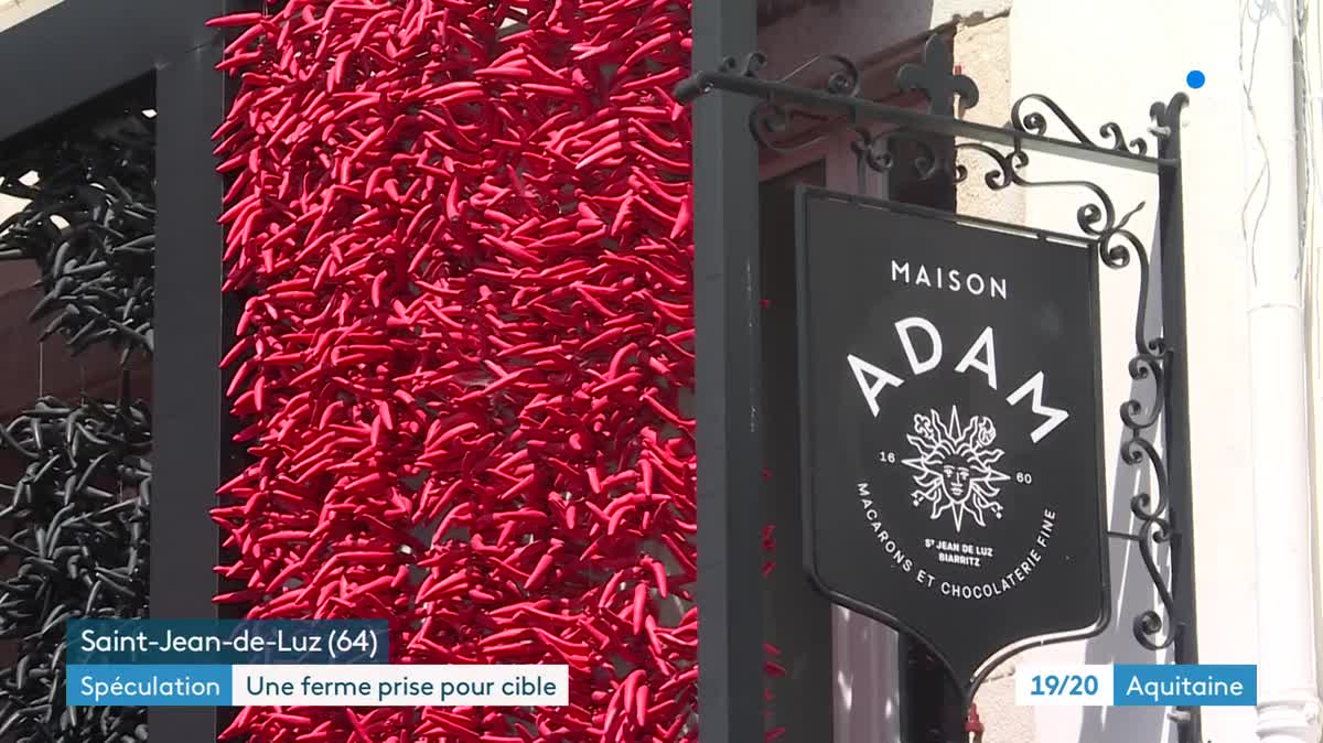 La ferme d'Olha a été achetée par la famille Telleria, les propriétaires de Maison Adam, célèbre chaîne de pâtisseries fines au pays Basque.