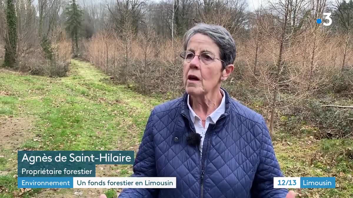 Le fonds forestier en Limousin aide financièrement les propriétaires forestiers à replanter des arbres sur leur parcelle.