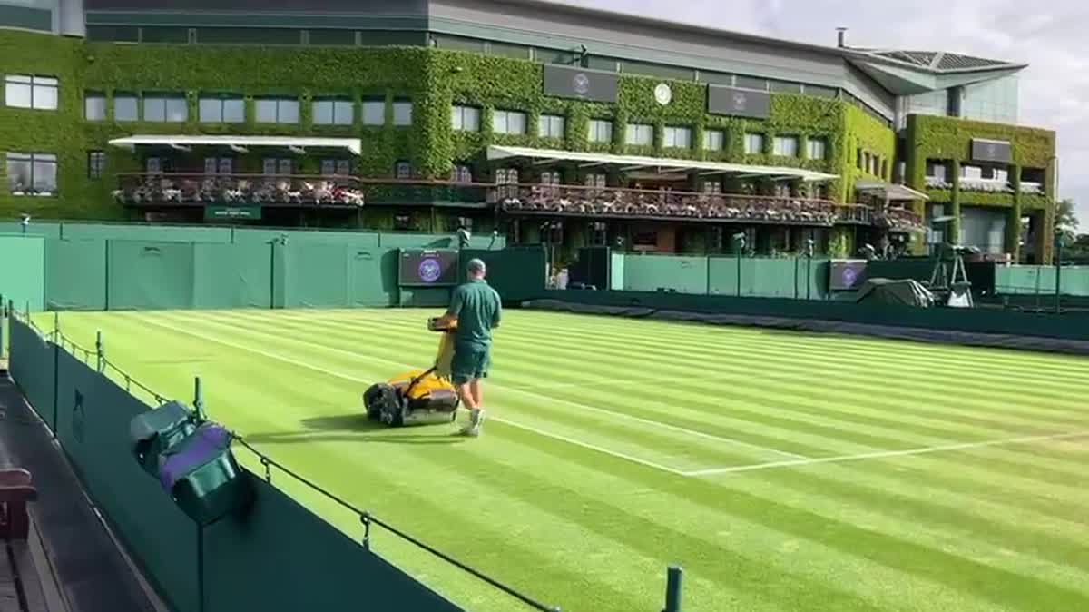La tonte de la pelouse à Wimbledon.