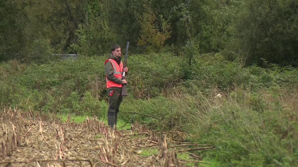 La battue a regroupé 40 chasseurs des associations locales