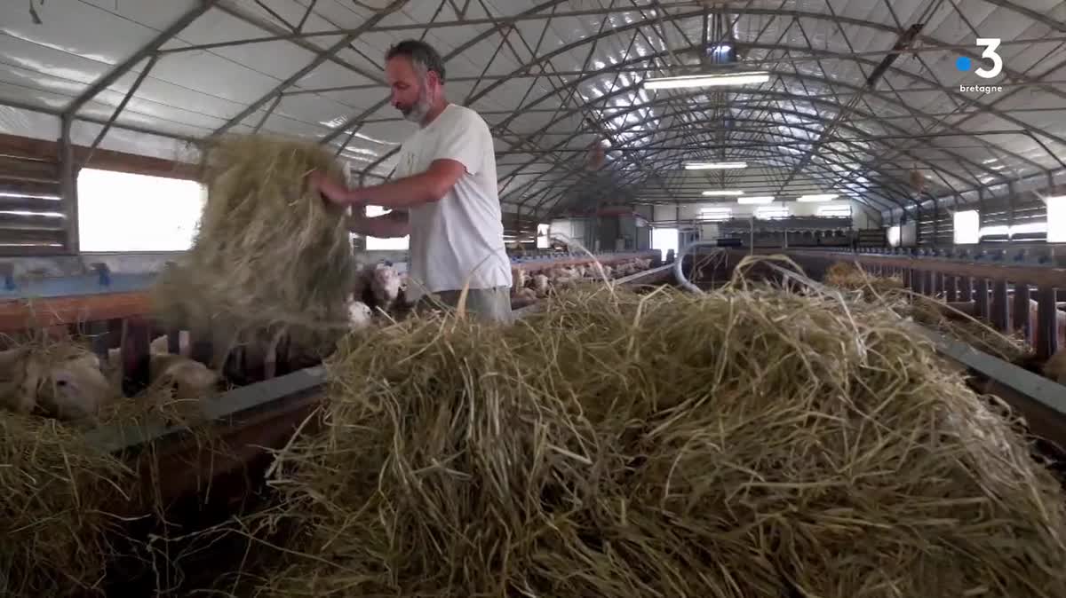 CAMPAGNES, QUAND L'HOMME RENOUE AVEC LA NATURE